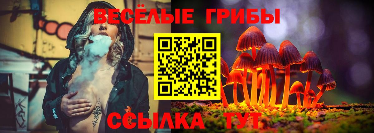 Невинномысск  Галлюциногенные грибы мицелий  Вход с VPN 